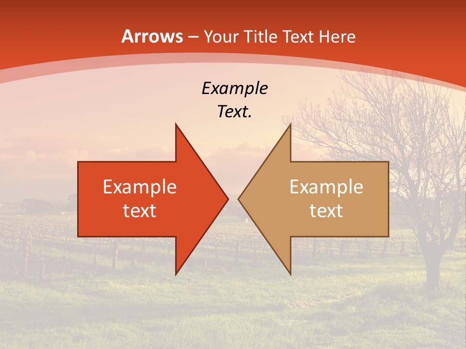 Field Chardonnay Travel PowerPoint Template