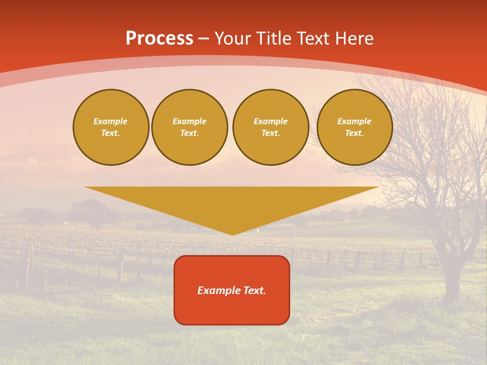 Field Chardonnay Travel PowerPoint Template