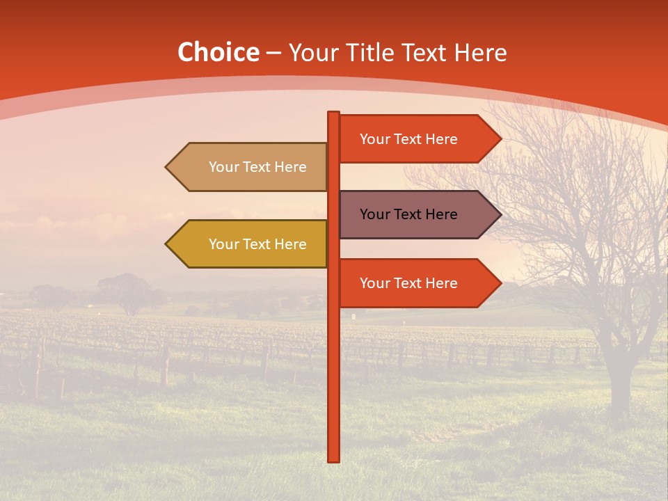 Field Chardonnay Travel PowerPoint Template