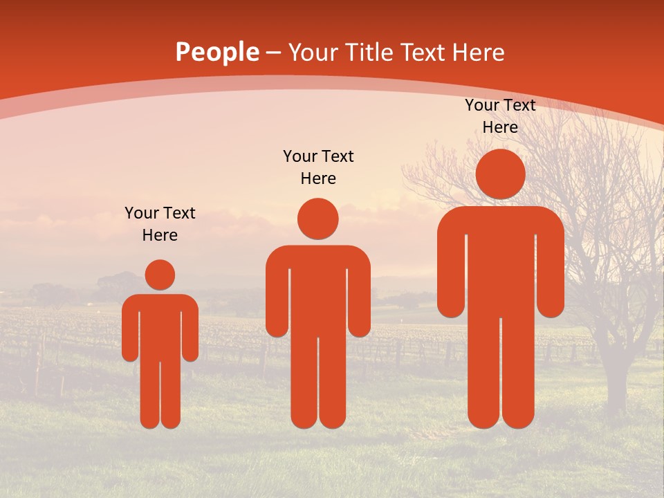 Field Chardonnay Travel PowerPoint Template