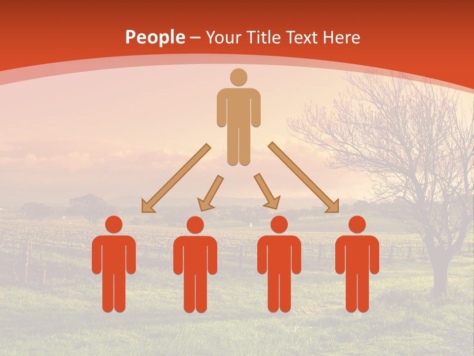 Field Chardonnay Travel PowerPoint Template