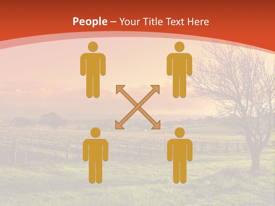 Field Chardonnay Travel PowerPoint Template