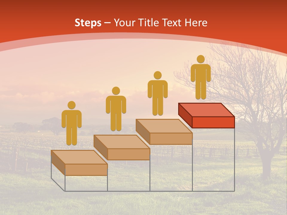 Field Chardonnay Travel PowerPoint Template
