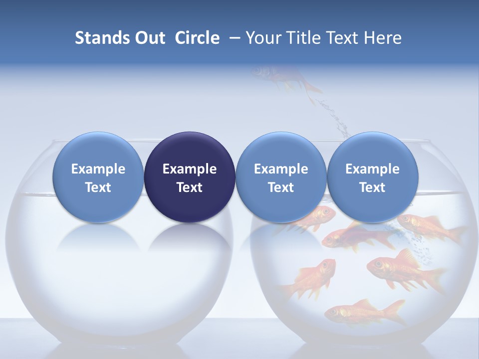 Splash Splashing Concept PowerPoint Template