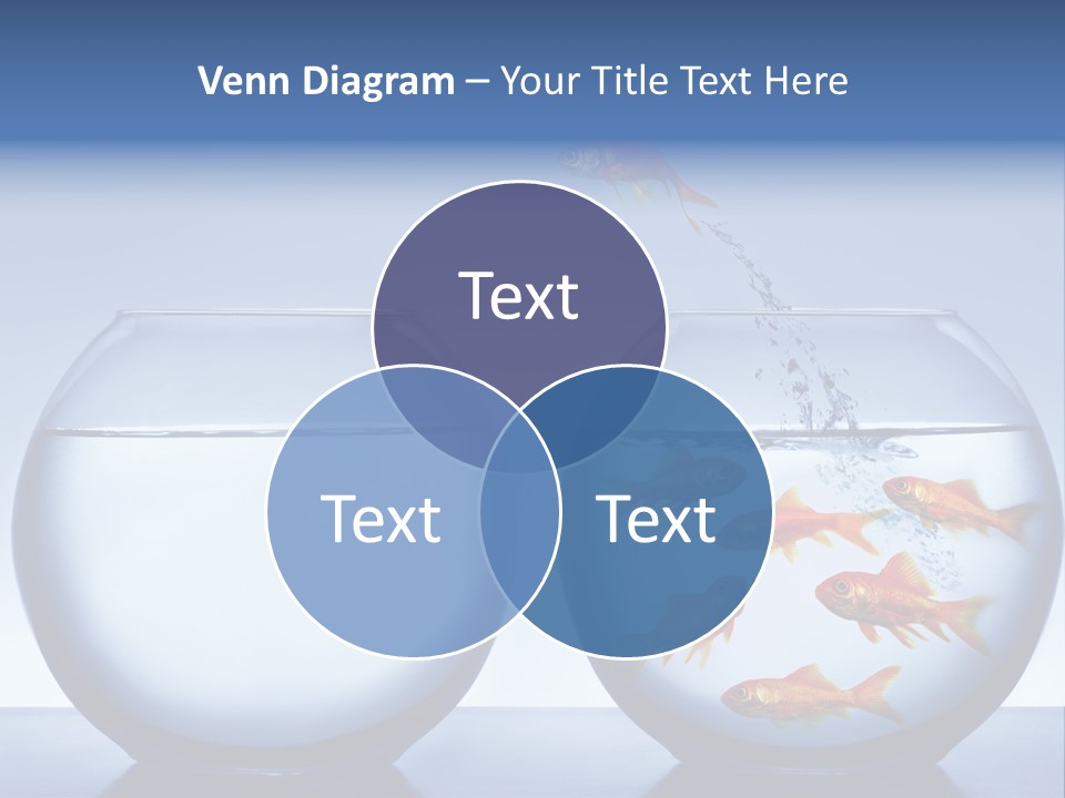 Splash Splashing Concept PowerPoint Template