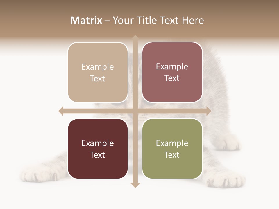 Purr Pedigreed Sit PowerPoint Template