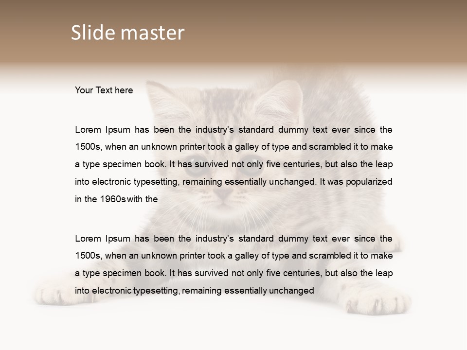 Purr Pedigreed Sit PowerPoint Template