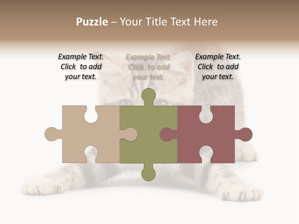Purr Pedigreed Sit PowerPoint Template