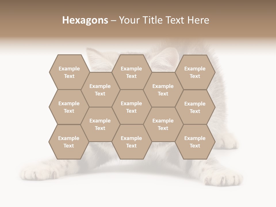 Purr Pedigreed Sit PowerPoint Template