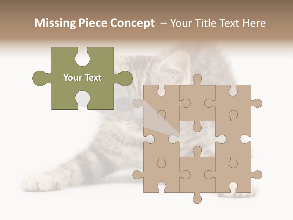 Purr Pedigreed Sit PowerPoint Template