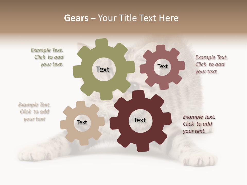 Purr Pedigreed Sit PowerPoint Template
