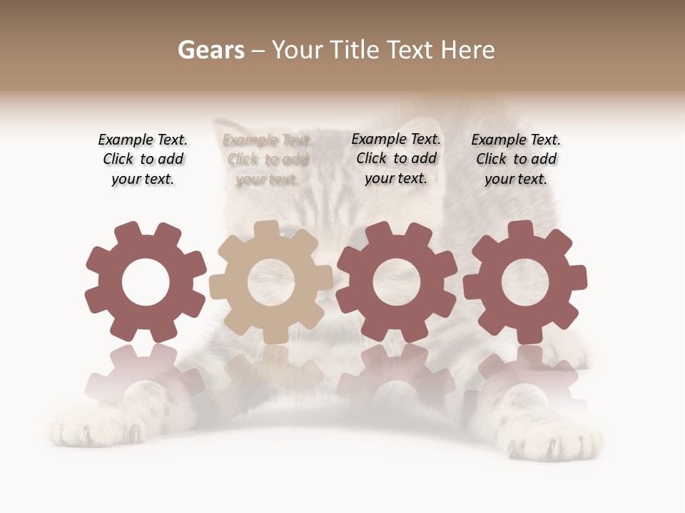 Purr Pedigreed Sit PowerPoint Template