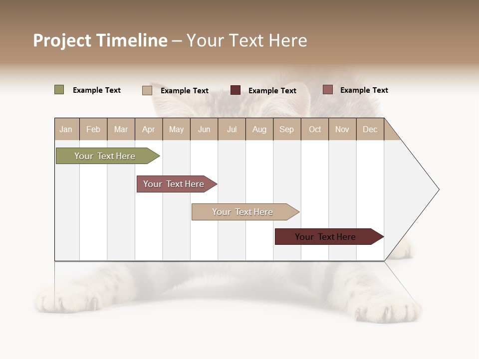 Purr Pedigreed Sit PowerPoint Template