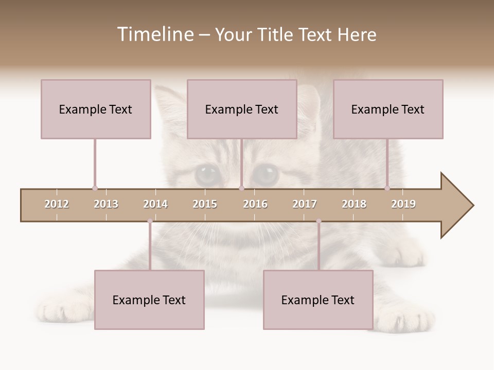 Purr Pedigreed Sit PowerPoint Template