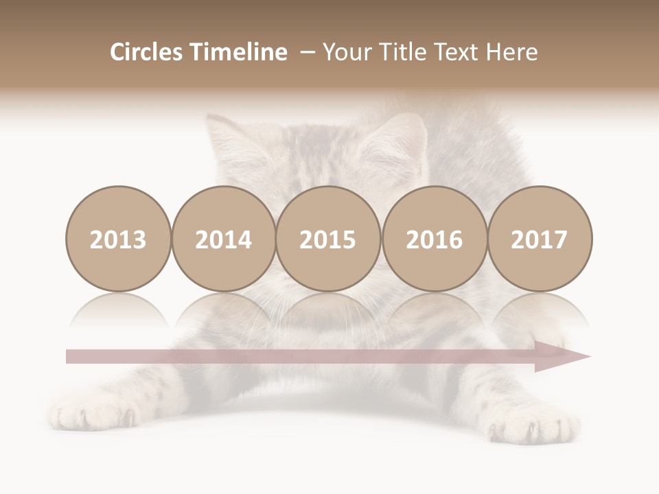 Purr Pedigreed Sit PowerPoint Template