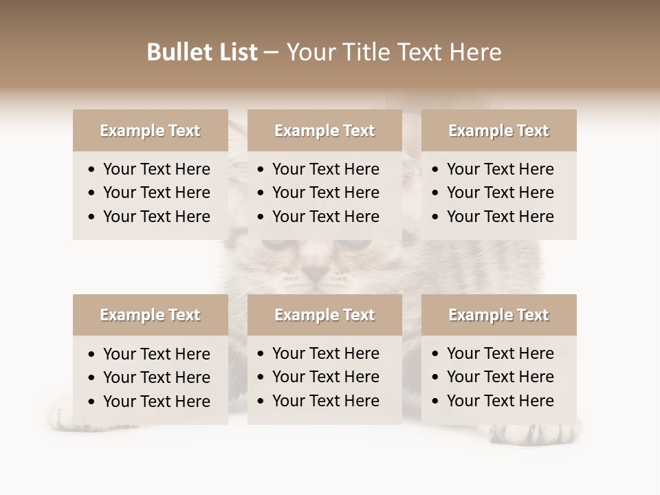 Purr Pedigreed Sit PowerPoint Template