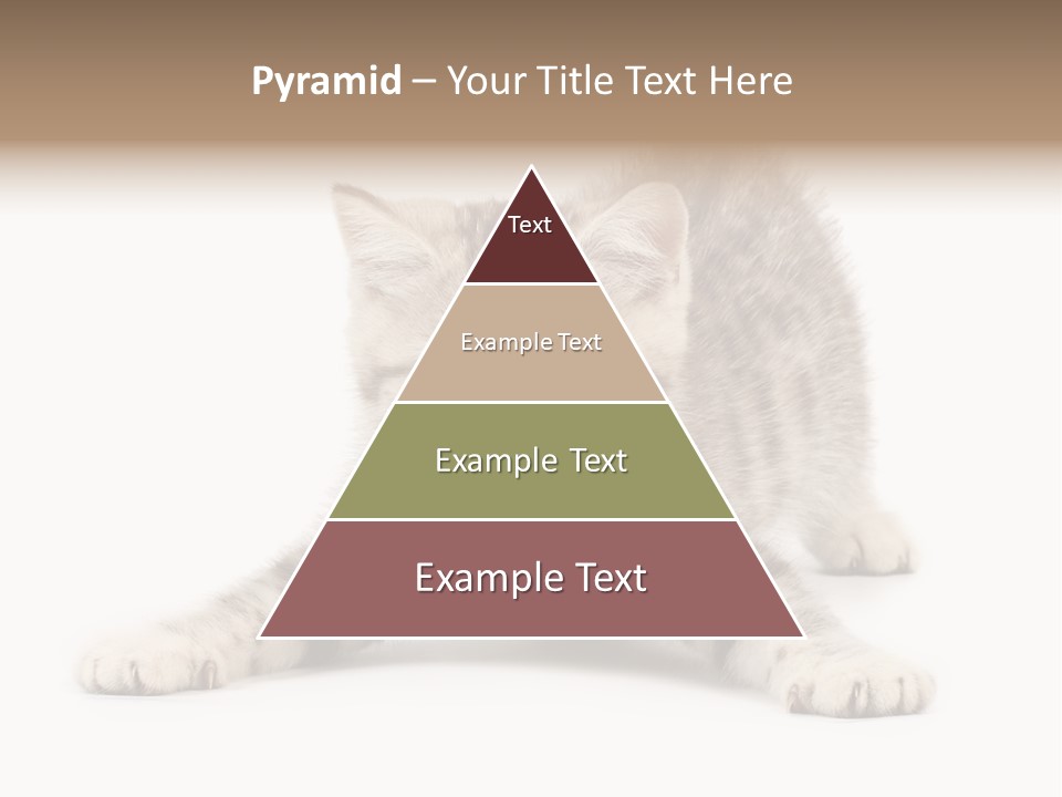 Purr Pedigreed Sit PowerPoint Template