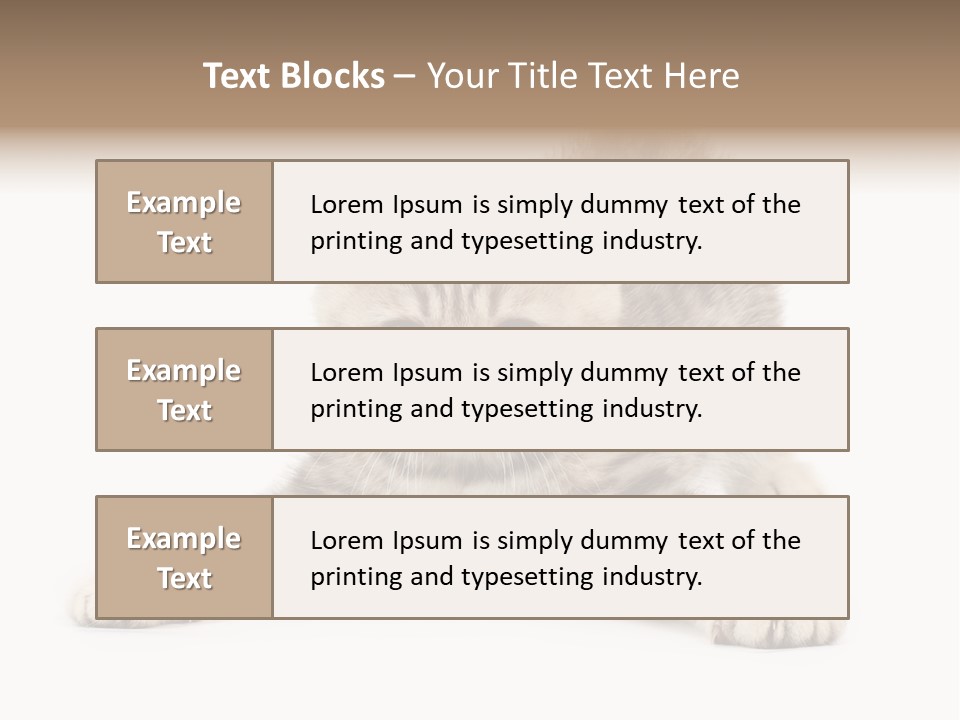 Purr Pedigreed Sit PowerPoint Template