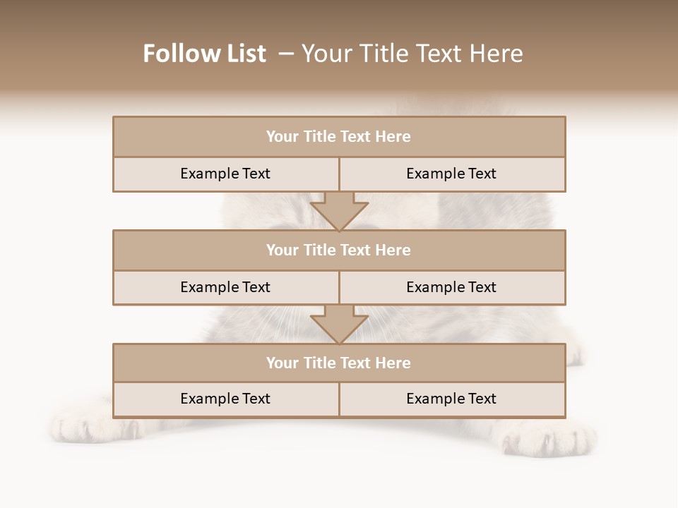 Purr Pedigreed Sit PowerPoint Template