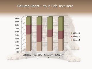 Purr Pedigreed Sit PowerPoint Template