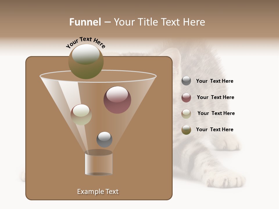 Purr Pedigreed Sit PowerPoint Template