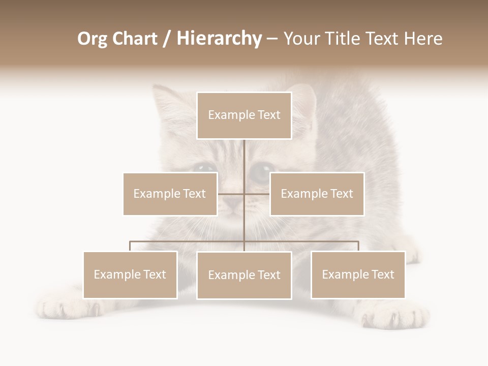 Purr Pedigreed Sit PowerPoint Template