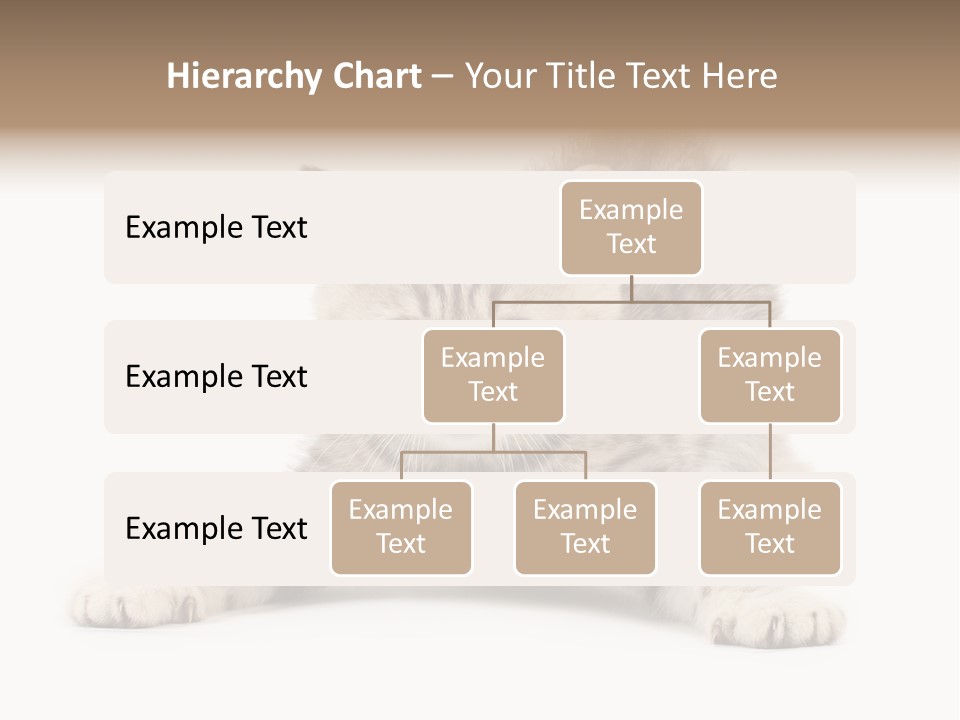 Purr Pedigreed Sit PowerPoint Template