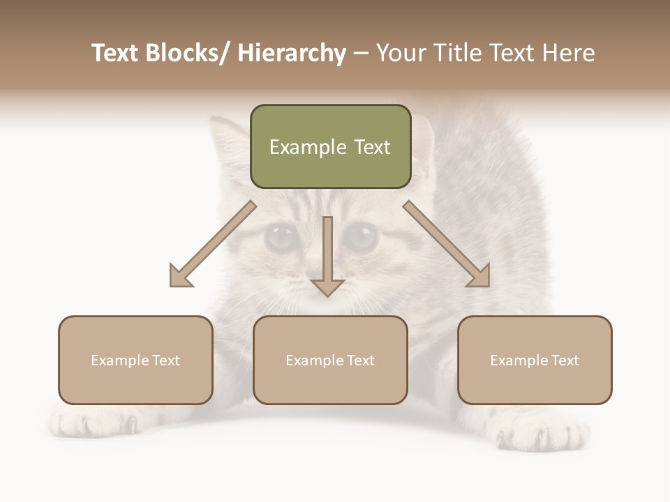 Purr Pedigreed Sit PowerPoint Template