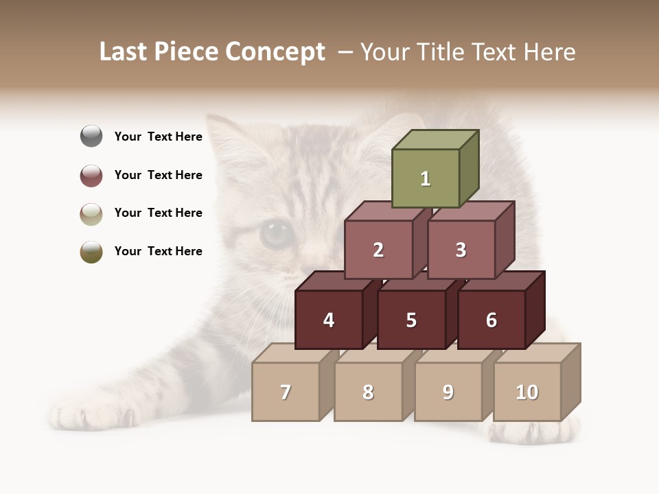 Purr Pedigreed Sit PowerPoint Template