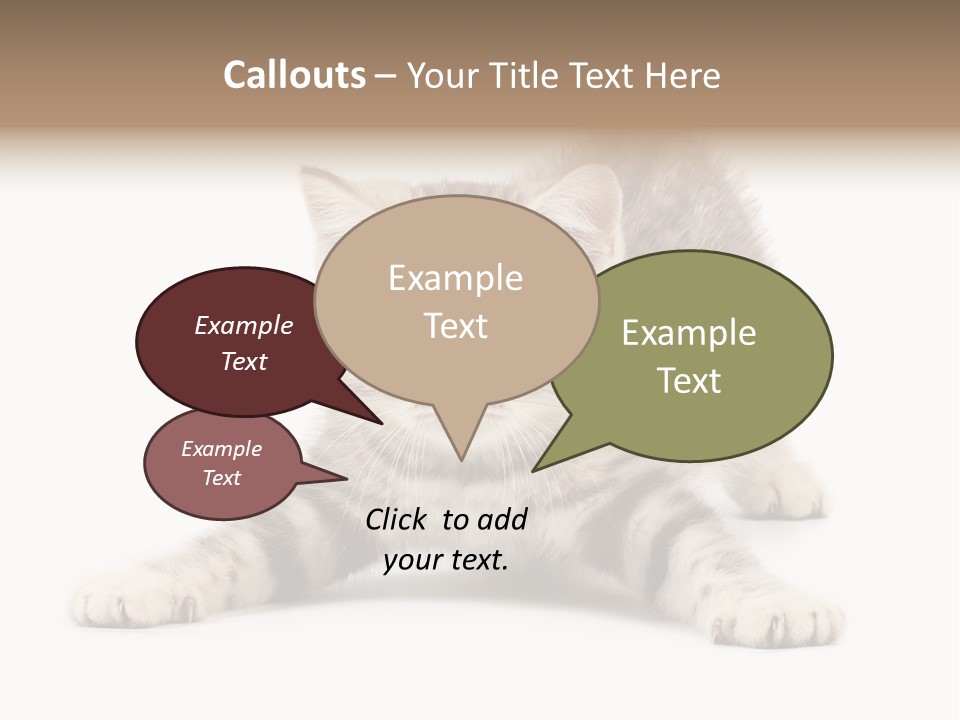 Purr Pedigreed Sit PowerPoint Template