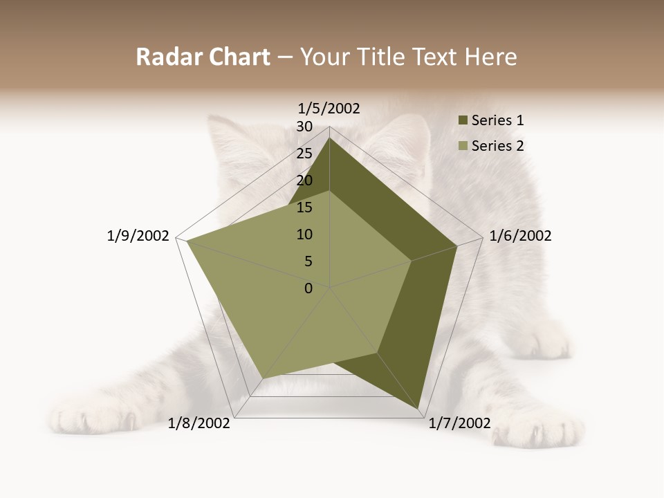 Purr Pedigreed Sit PowerPoint Template