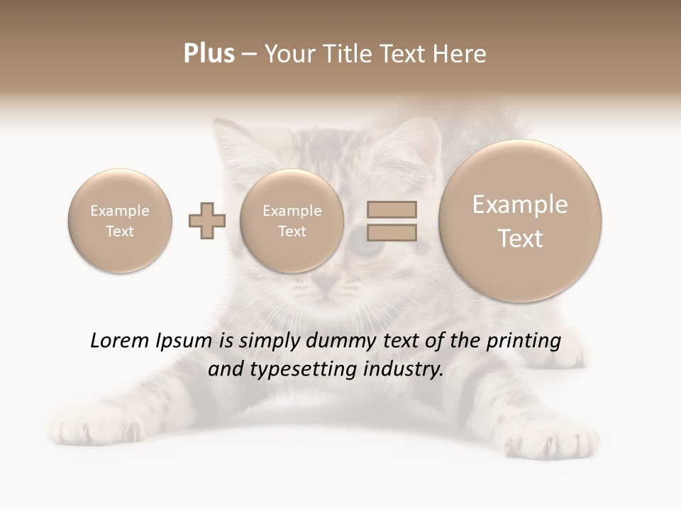 Purr Pedigreed Sit PowerPoint Template
