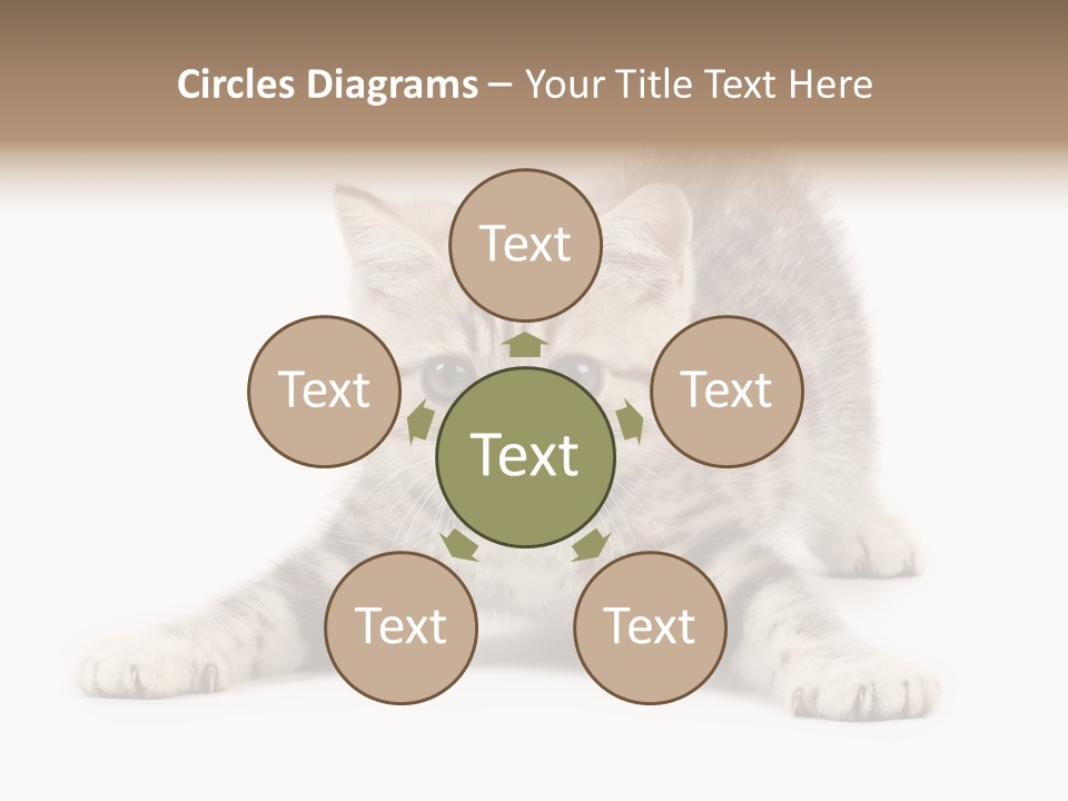 Purr Pedigreed Sit PowerPoint Template