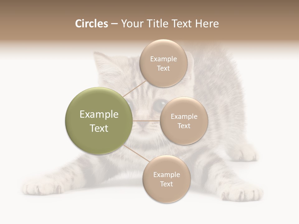Purr Pedigreed Sit PowerPoint Template