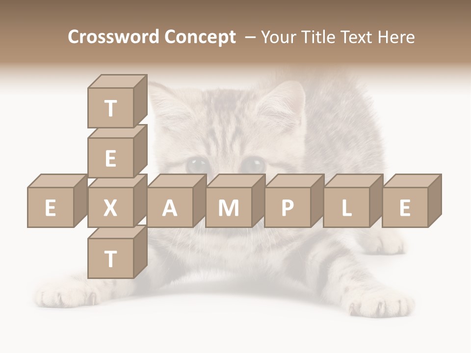 Purr Pedigreed Sit PowerPoint Template