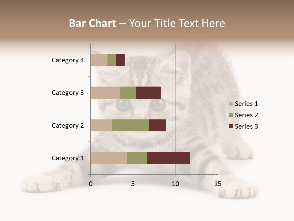 Purr Pedigreed Sit PowerPoint Template