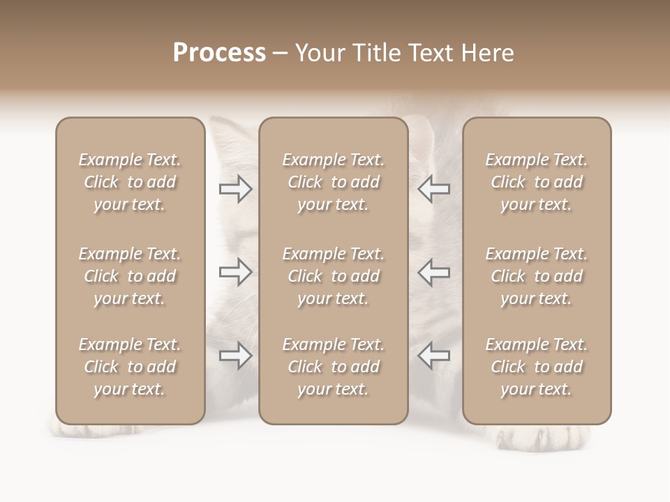 Purr Pedigreed Sit PowerPoint Template