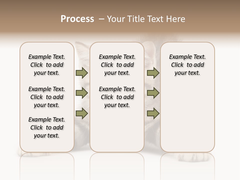 Purr Pedigreed Sit PowerPoint Template