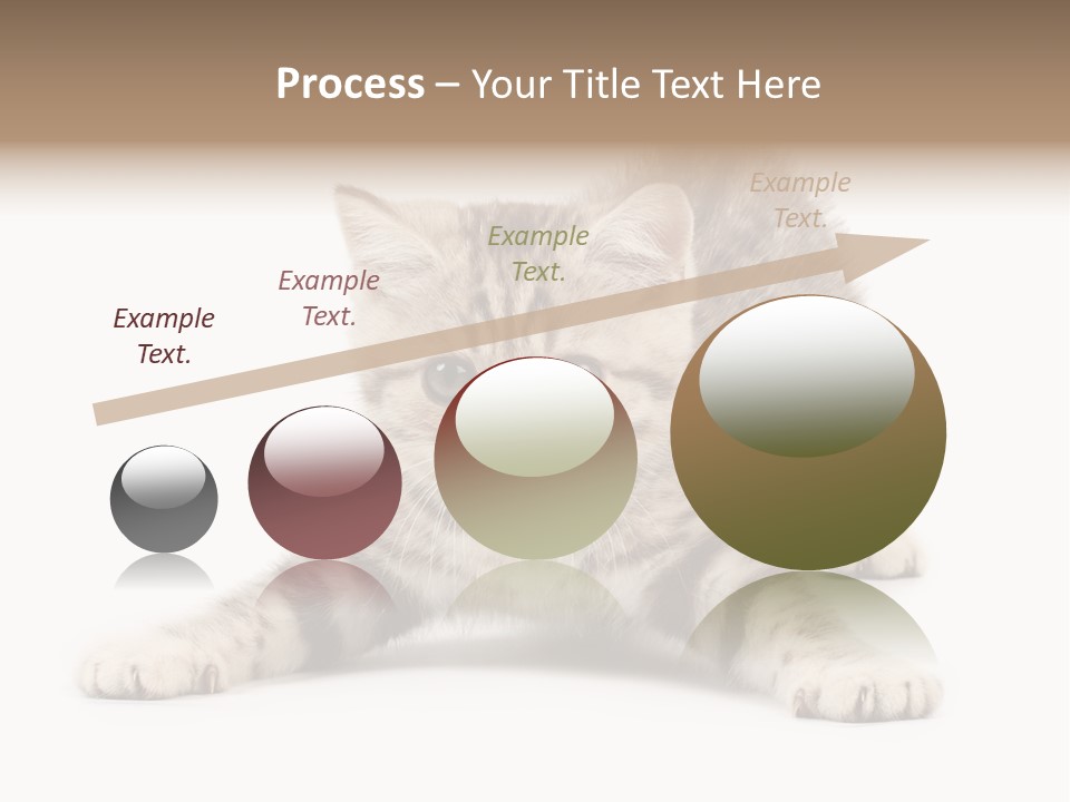 Purr Pedigreed Sit PowerPoint Template