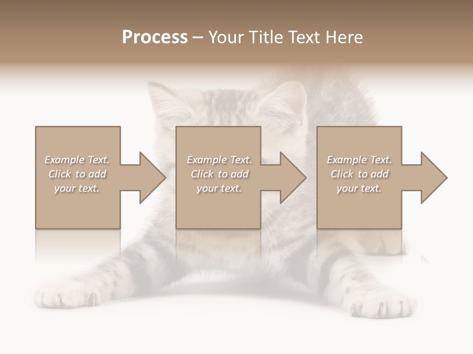 Purr Pedigreed Sit PowerPoint Template