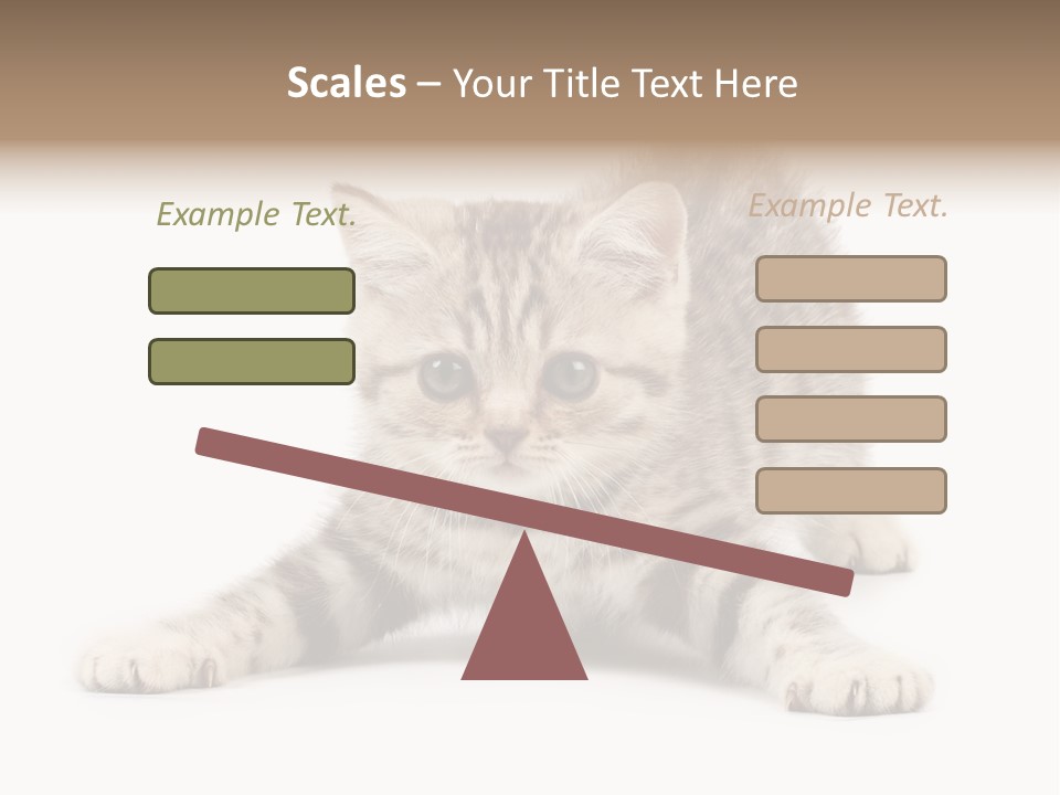 Purr Pedigreed Sit PowerPoint Template