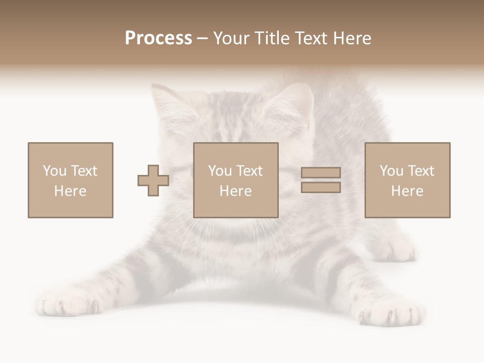 Purr Pedigreed Sit PowerPoint Template