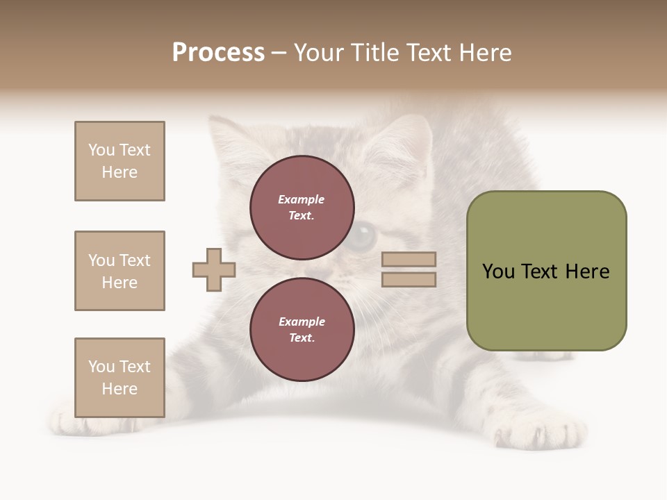 Purr Pedigreed Sit PowerPoint Template