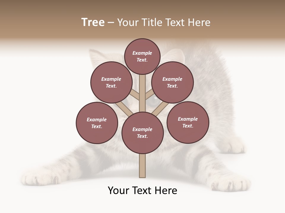 Purr Pedigreed Sit PowerPoint Template