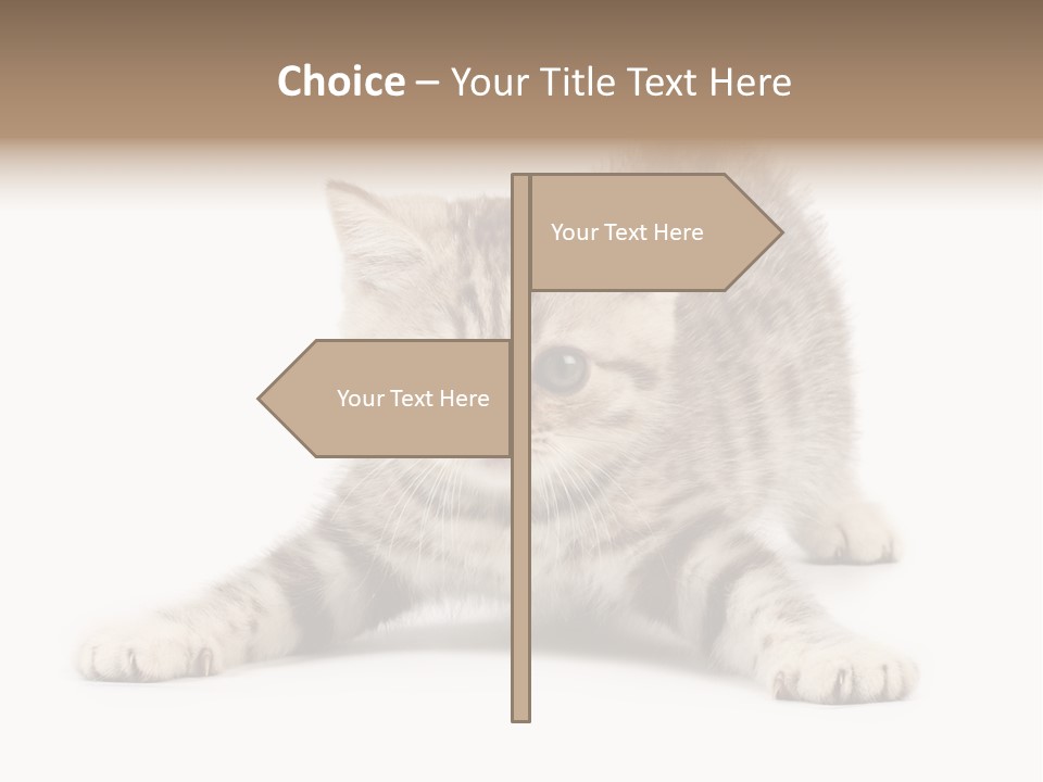Purr Pedigreed Sit PowerPoint Template