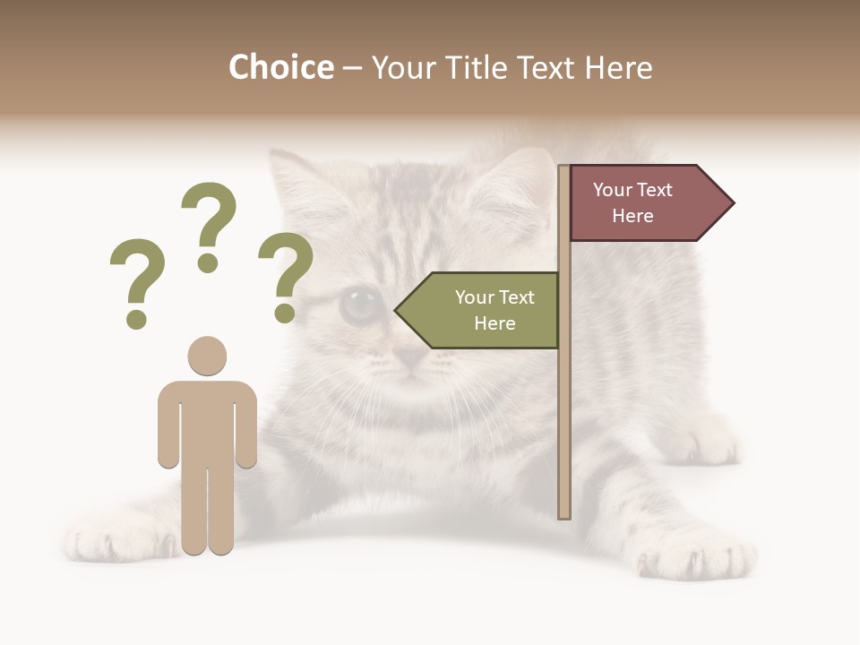 Purr Pedigreed Sit PowerPoint Template