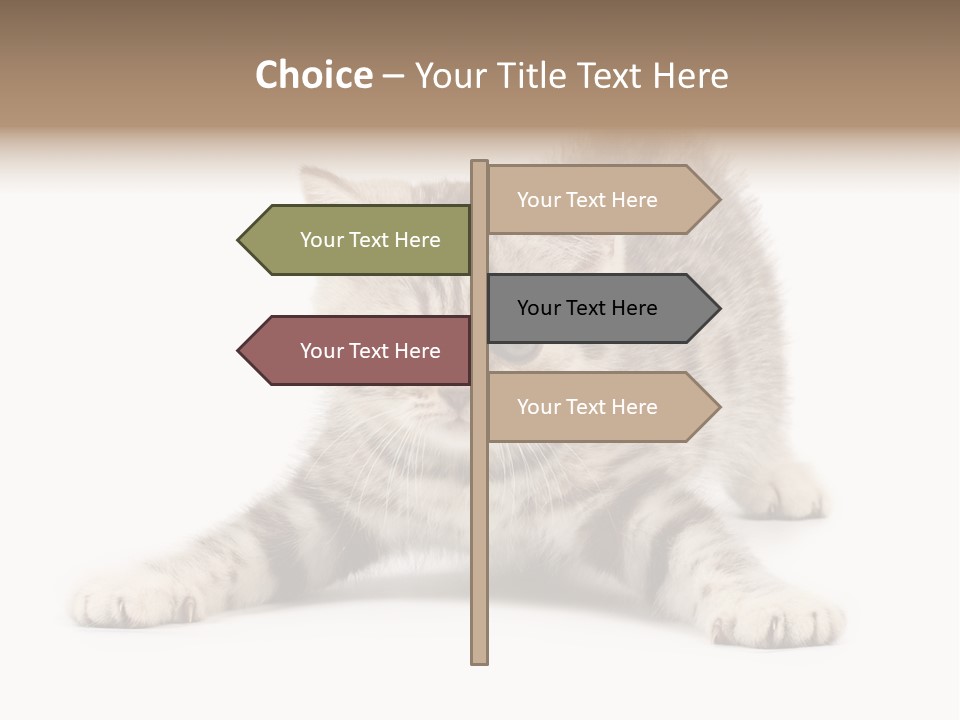 Purr Pedigreed Sit PowerPoint Template