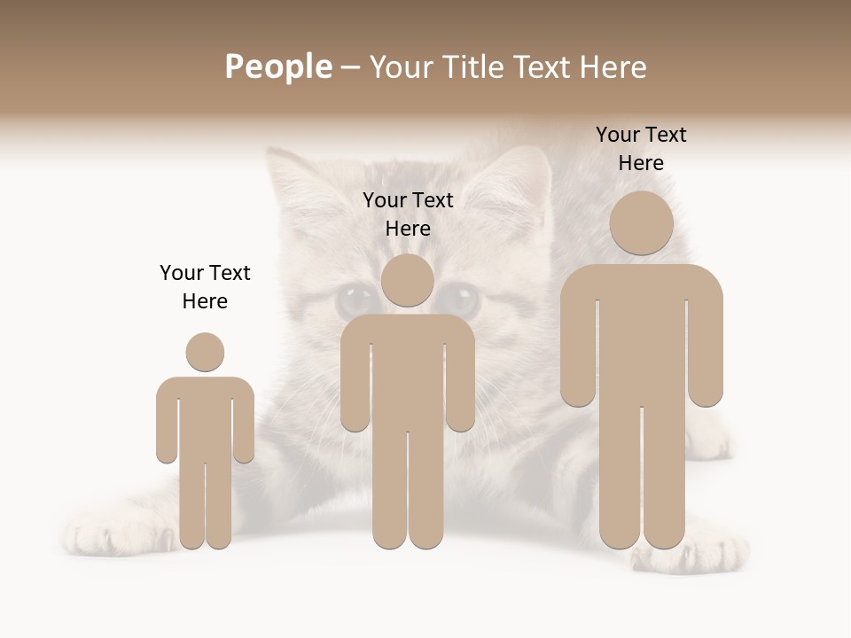 Purr Pedigreed Sit PowerPoint Template