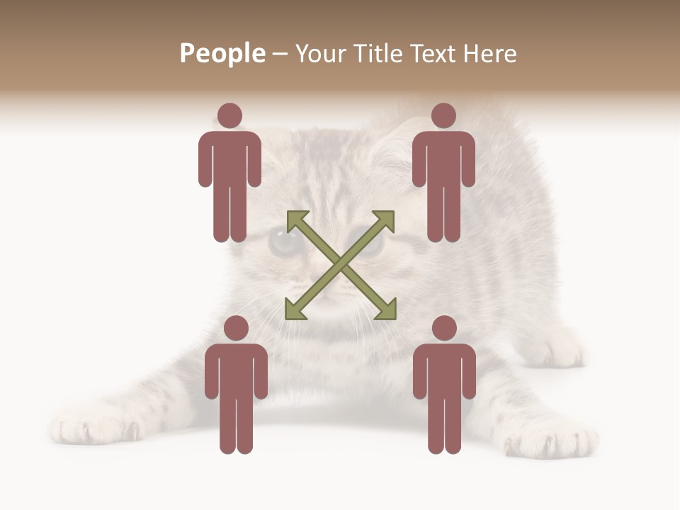 Purr Pedigreed Sit PowerPoint Template
