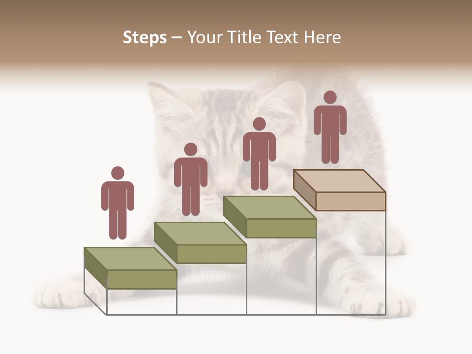 Purr Pedigreed Sit PowerPoint Template